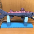 Barracuda - Thumbnail 10