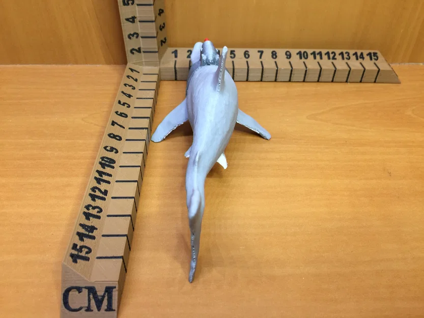 Cá Mập Gắn Tia Laser Bá Đạo (Sharks with Frickin Lasers) - Image 4