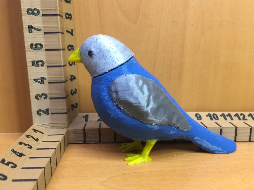 Chim Đồ Chơi (Toy Bird) - Image 2