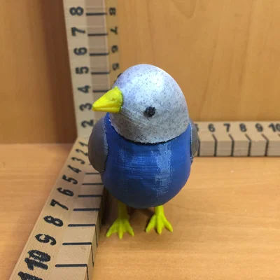 Chim Đồ Chơi (Toy Bird)
