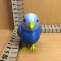 Chim Đồ Chơi (Toy Bird) - Thumbnail 4