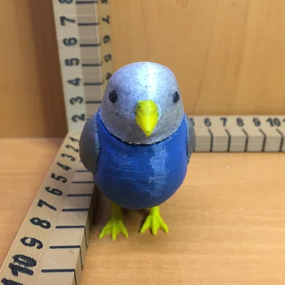 Chim Đồ Chơi (Toy Bird)