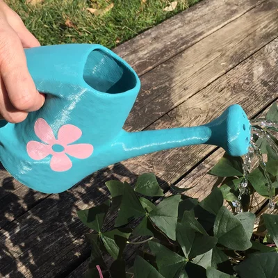 Bình Tưới Cây (Watering Can)