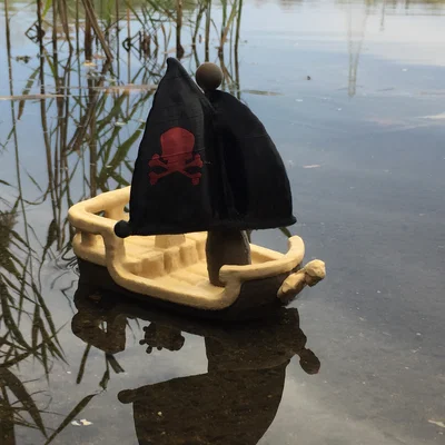 Tàu Cướp Biển (Pirate Ship)