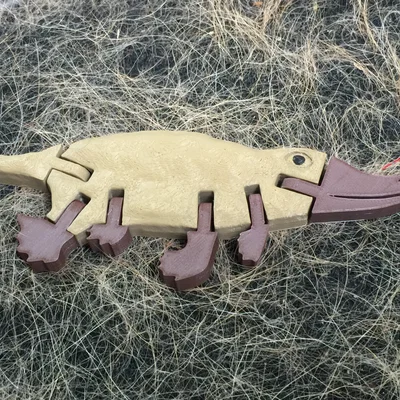 Thú Mỏ Vịt (Platypus) – Articulated, No Supports