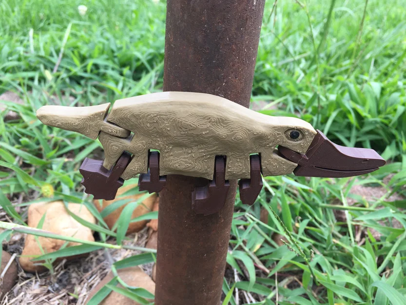 Thú Mỏ Vịt (Platypus) – Articulated, No Supports - Image 2