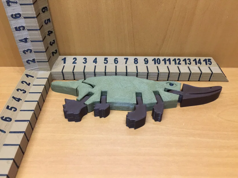 Thú Mỏ Vịt (Platypus) – Articulated, No Supports - Image 3