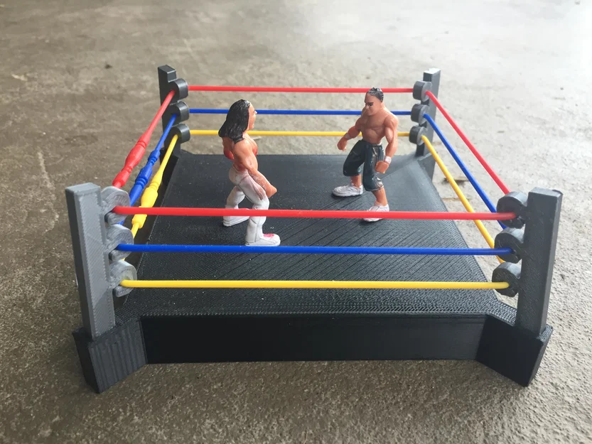 Sàn Đấu Vật (Wrestling Ring) - Image 1