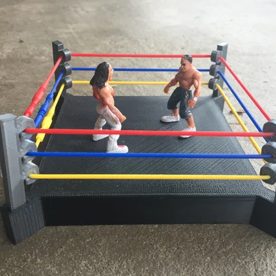 Sàn Đấu Vật (Wrestling Ring)