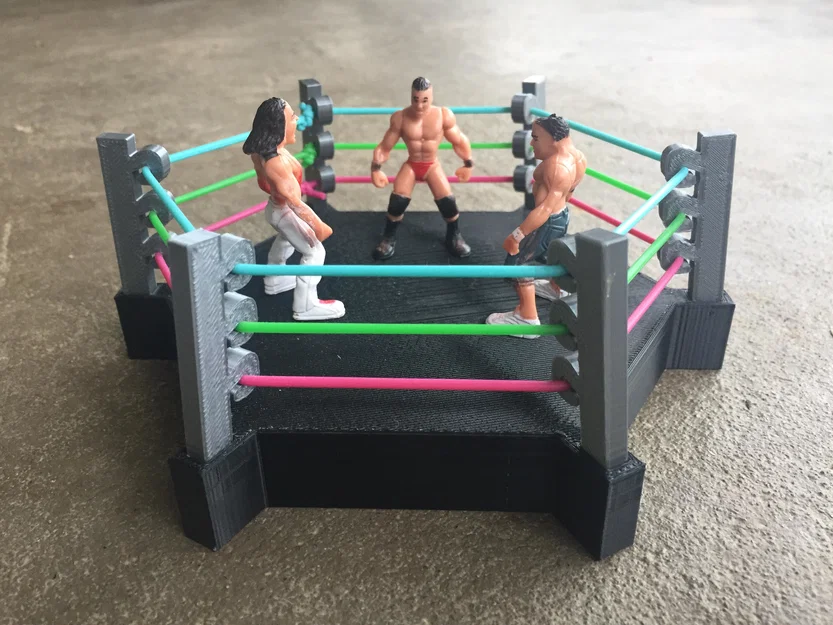 Sàn Đấu Vật (Wrestling Ring) - Image 2