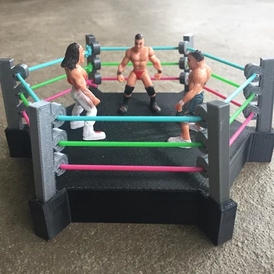 Sàn Đấu Vật (Wrestling Ring)