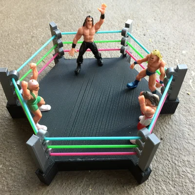 Sàn Đấu Vật (Wrestling Ring)