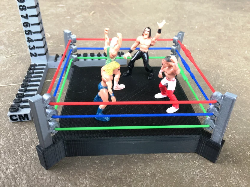 Sàn Đấu Vật (Wrestling Ring) - Image 4