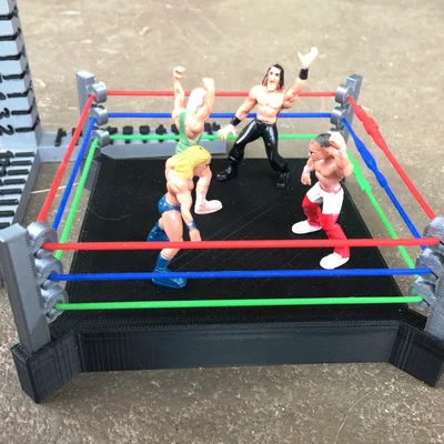 Sàn Đấu Vật (Wrestling Ring)