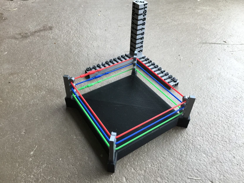 Sàn Đấu Vật (Wrestling Ring) - Image 5