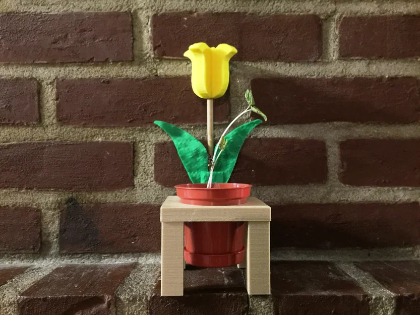 Hoa Ngày của Mẹ (Mothers Day Flower) - Image 1