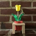 Hoa Ngày của Mẹ (Mothers Day Flower) - Thumbnail 1