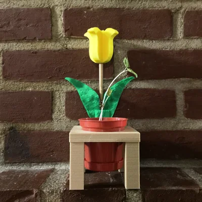 Hoa Ngày của Mẹ (Mothers Day Flower)