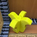 Hoa Ngày của Mẹ (Mothers Day Flower) - Thumbnail 11