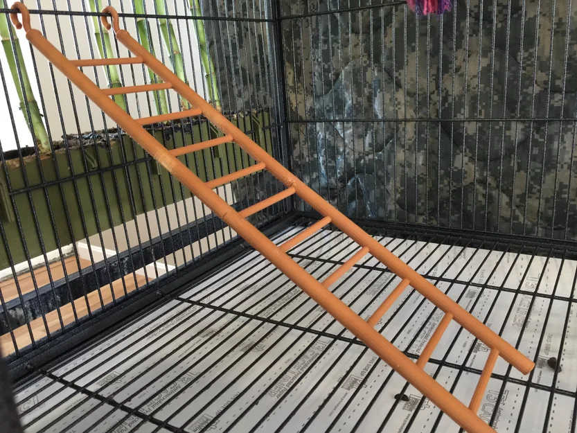 Cầu thang lồng (Cage Ladder) - Image 1