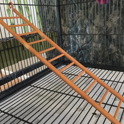 Cầu thang lồng (Cage Ladder)