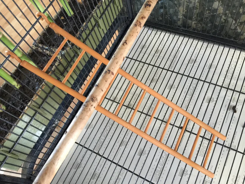 Cầu thang lồng (Cage Ladder) - Image 2