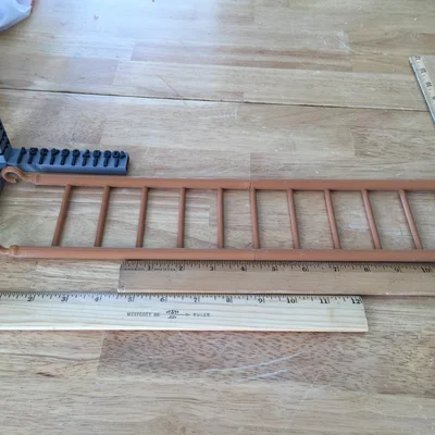 Cầu thang lồng (Cage Ladder)