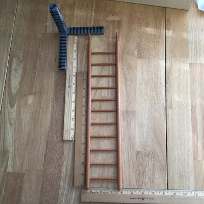 Cầu thang lồng (Cage Ladder)