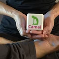 Yoga Dice – Xúc xắc yoga (bản 1 filament & bản MMU đa vật liệu) - Thumbnail 6
