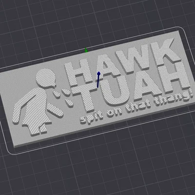 Biển hiệu trang trí Hawk Tuah - Mẫu in 3D độc đáo cho máy in của bạn