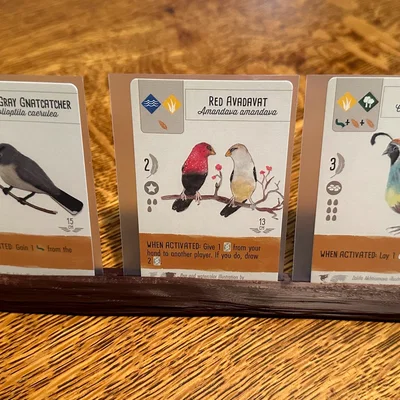 Khay giữ thẻ dạng khúc gỗ cho Wingspan (Wingspan log aviary card holder)