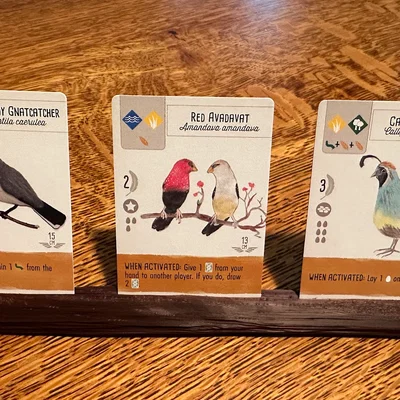 Khay giữ thẻ dạng khúc gỗ cho Wingspan (Wingspan log aviary card holder)