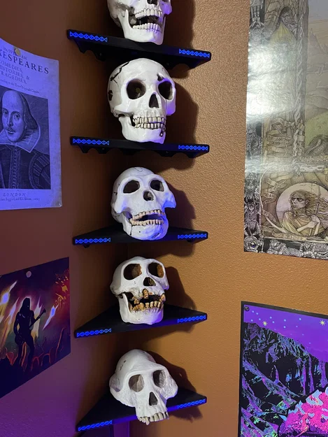 Kệ Góc Trưng Bày Skulls và Đồ Vật Khác - Image 1