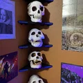 Kệ Góc Trưng Bày Skulls và Đồ Vật Khác - Thumbnail 1