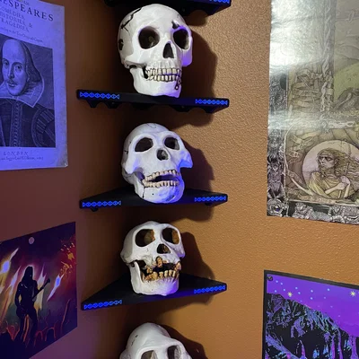 Kệ Góc Trưng Bày Skulls và Đồ Vật Khác