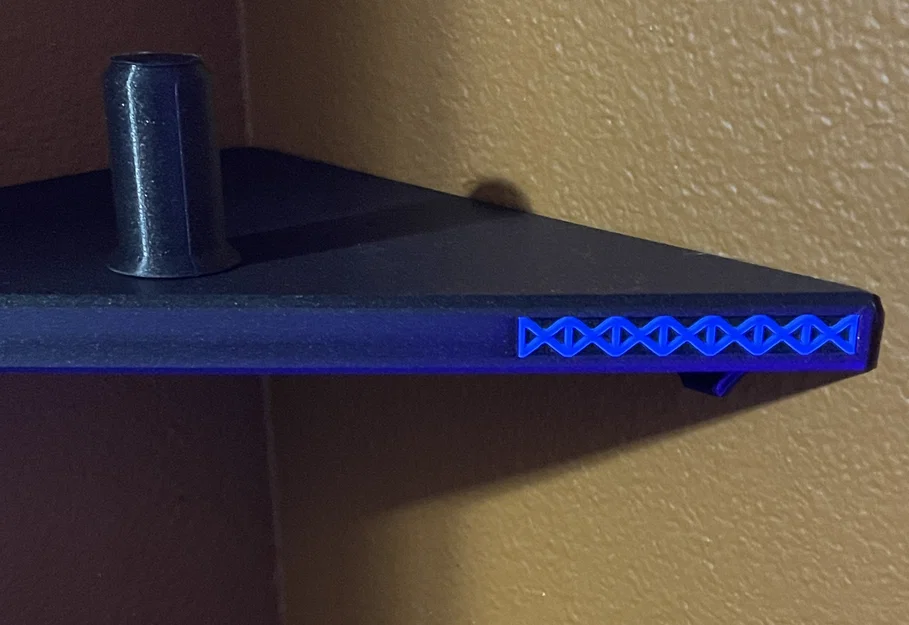 Kệ Góc Trưng Bày Skulls và Đồ Vật Khác - Image 5