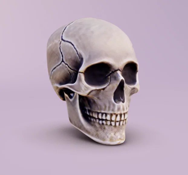 Mô hình Sọ Người (Human Skull) in 3D – File STL - Image 1