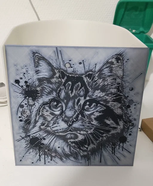 HueForge -Maincoon - Image 2