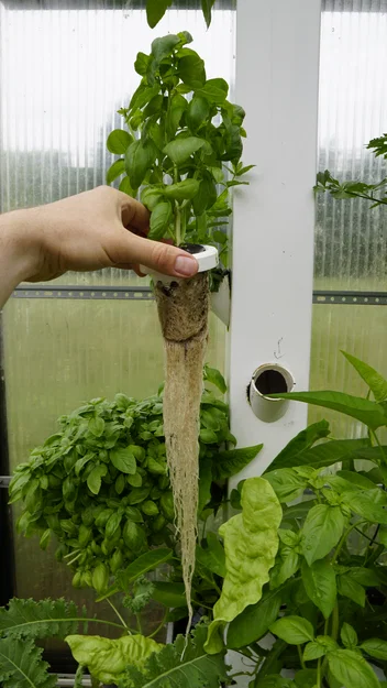 Clip-in Net Pots (Rọ Trồng Thủy Canh Dạng Kẹp Mở/Đóng) - Image 4