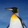 andrem4c_2538886