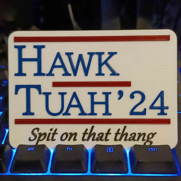 Hawk Tuah! Spit on that thang - Image 1
