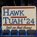 Hawk Tuah! Spit on that thang - Thumbnail 1