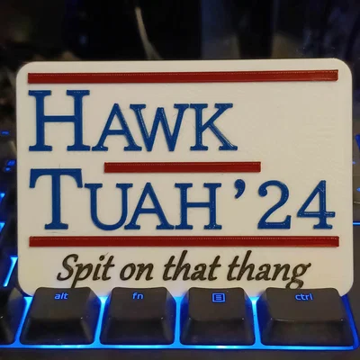 Hawk Tuah! Spit on that thang