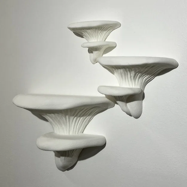 Shroom Shelves – Kệ nấm (remix) nhiều kích cỡ - Image 1