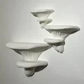 Shroom Shelves – Kệ nấm (remix) nhiều kích cỡ - Thumbnail 1