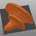 Shroom Shelves – Kệ nấm (remix) nhiều kích cỡ - Thumbnail 2
