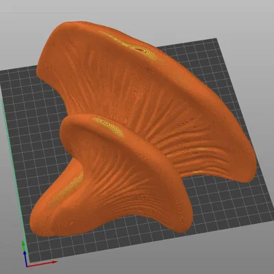 Shroom Shelves – Kệ nấm (remix) nhiều kích cỡ