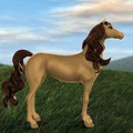 Pretty Pony – Chú Pony Xinh Đẹp - Thumbnail 1