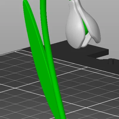 Mô hình hoa giọt tuyết Snowdrop 3D đẹp mắt - Dễ in cho mọi máy in