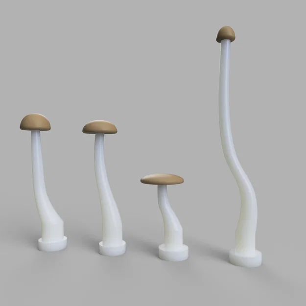 Super Simple Mushroom - Nấm siêu đơn giản - Image 1